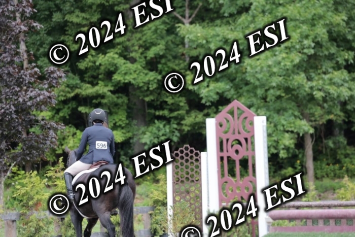 105SC1_4786