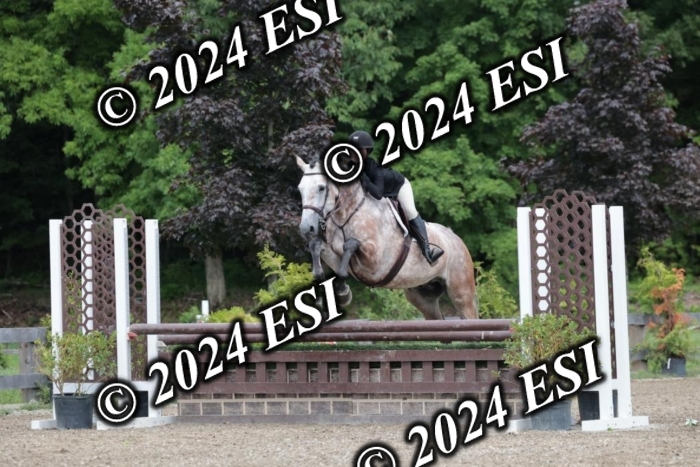 105SC1_4814