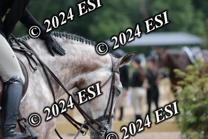 105SC1_4863