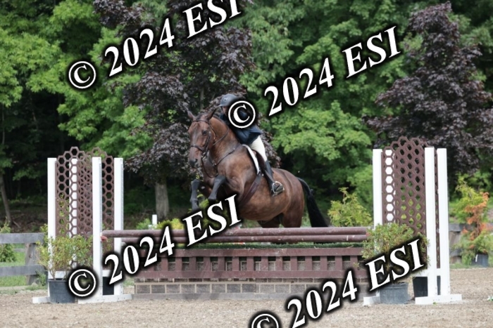 105SC1_4885