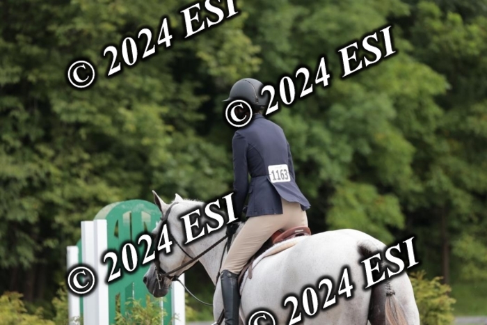 105SC1_4908