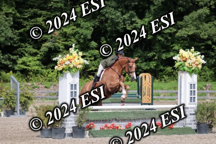 105SC1_5197