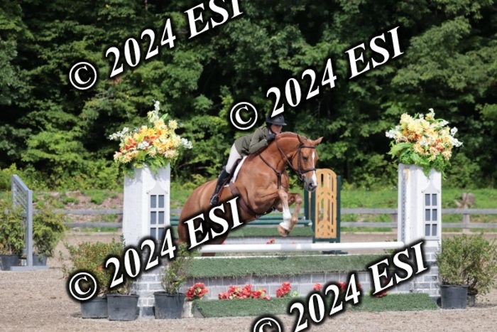 105SC1_5198