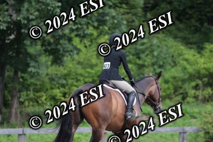 105SC1_5233