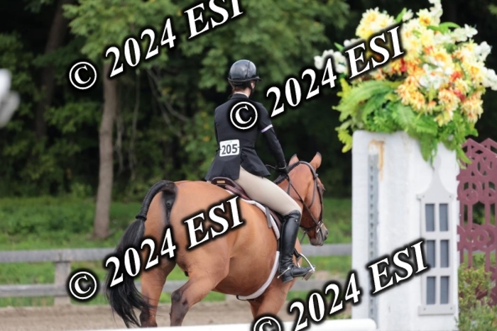 105SC1_5286