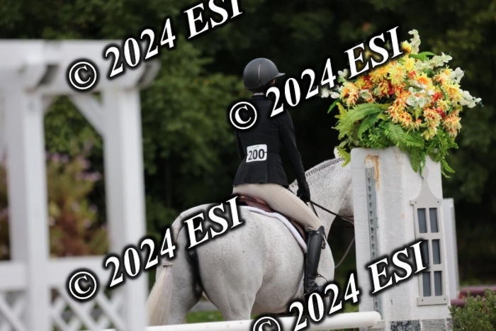 105SC1_5301