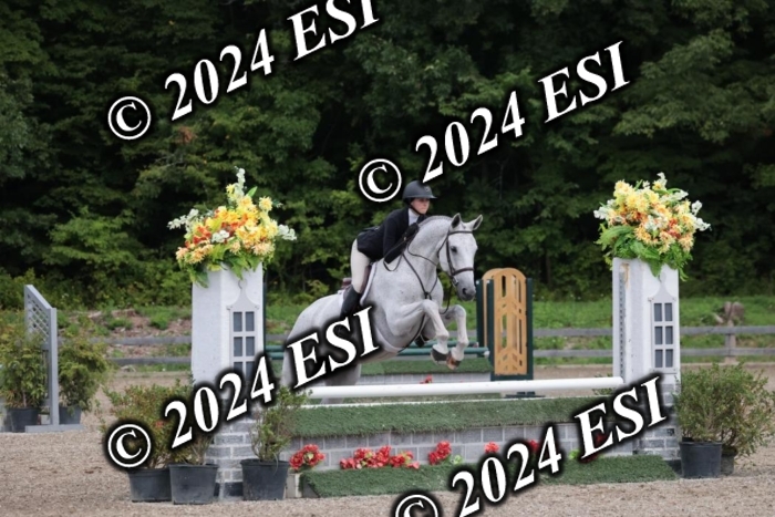 105SC1_5305