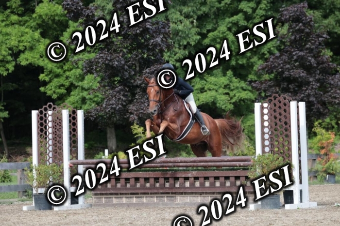 105SC1_5399