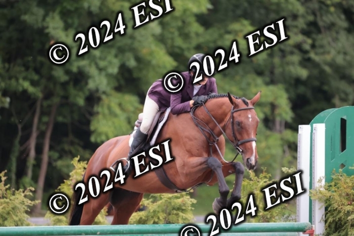 105SC1_5516