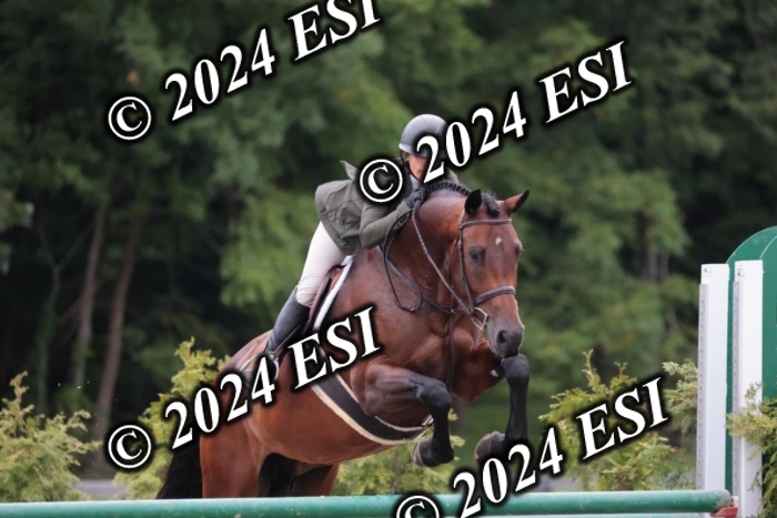 105SC1_5597