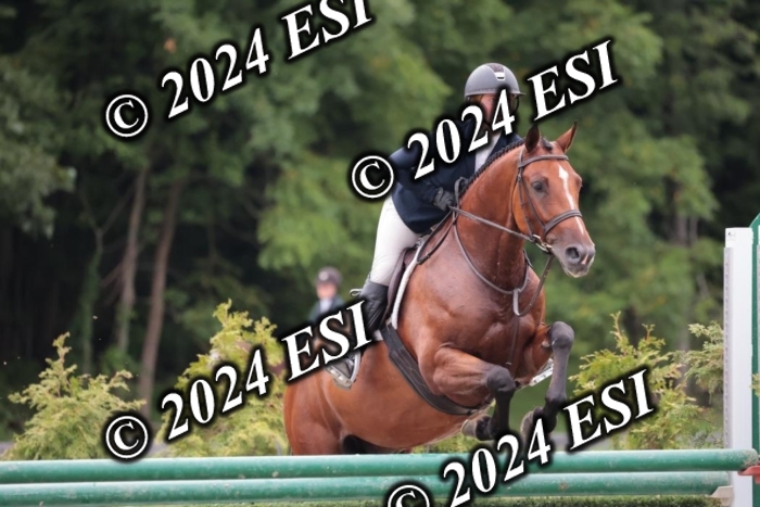 105SC1_5610