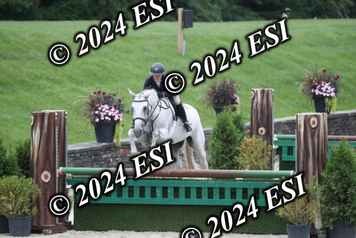 097RWCL7768