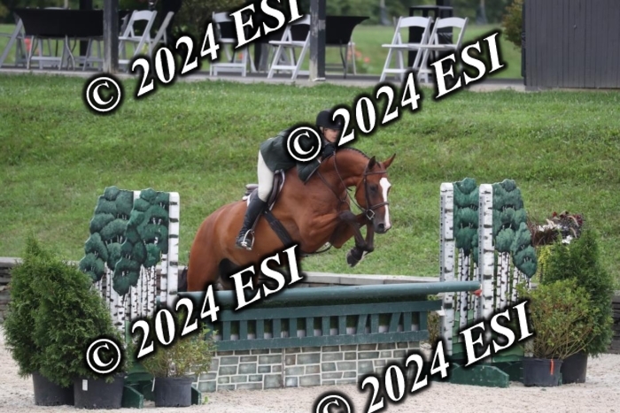 097RWCL7774