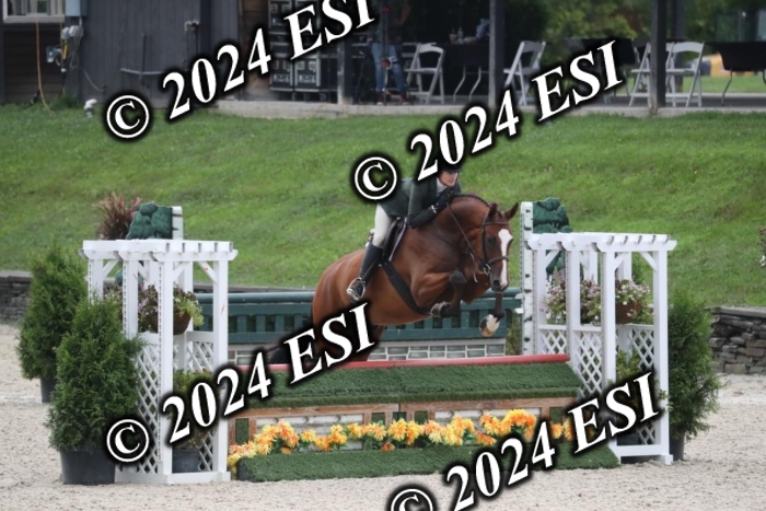 097RWCL7790