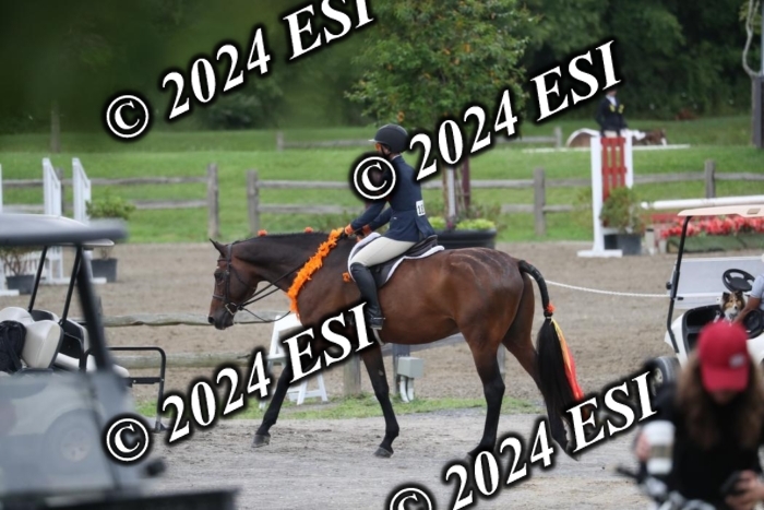 097RWCL7795