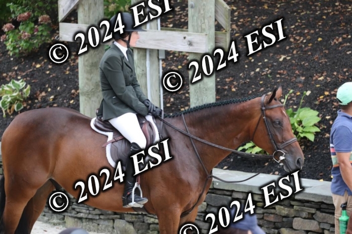 097RWCL7799