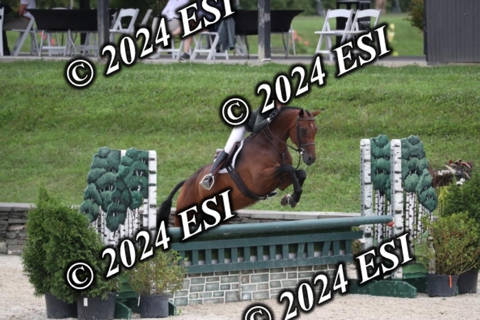 097RWCL7805