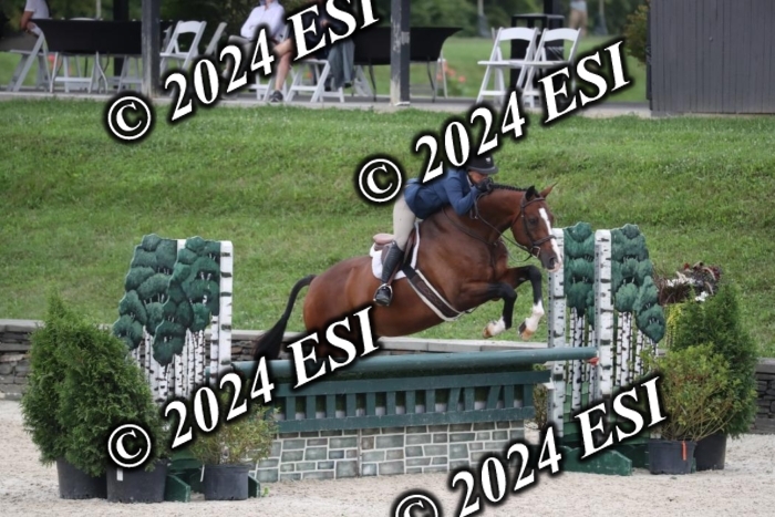 097RWCL7811