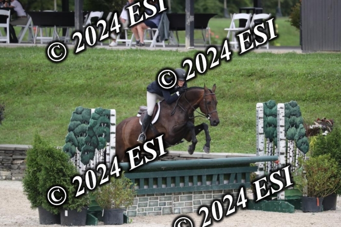 097RWCL7817