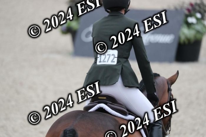 097RWCL7828