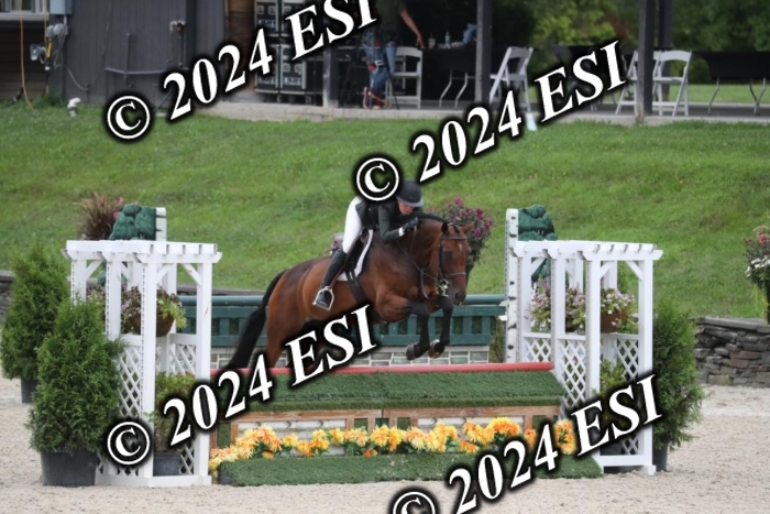 097RWCL7832