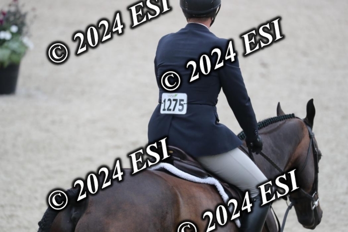 097RWCL7833