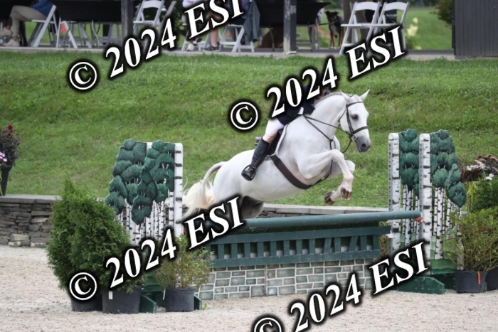 097RWCL7841