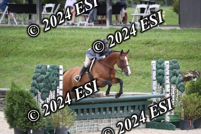 097RWCL7846