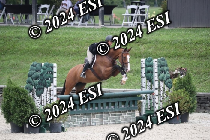 097RWCL7884