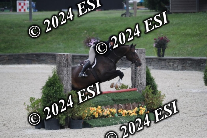 097RWCL7901
