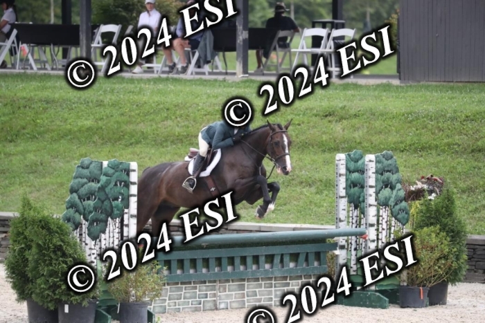 097RWCL7906