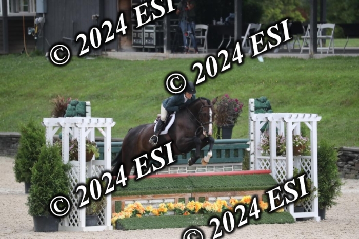 097RWCL7907