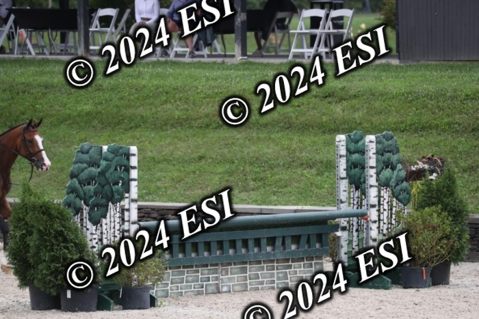 097RWCL7912
