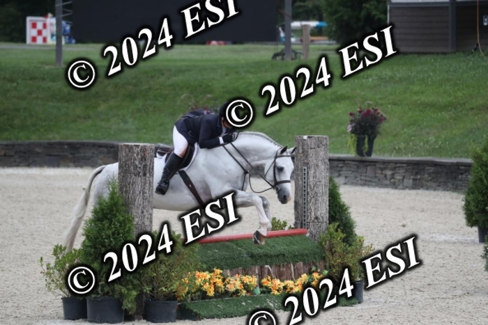 097RWCL7916