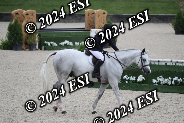 097RWCL7919
