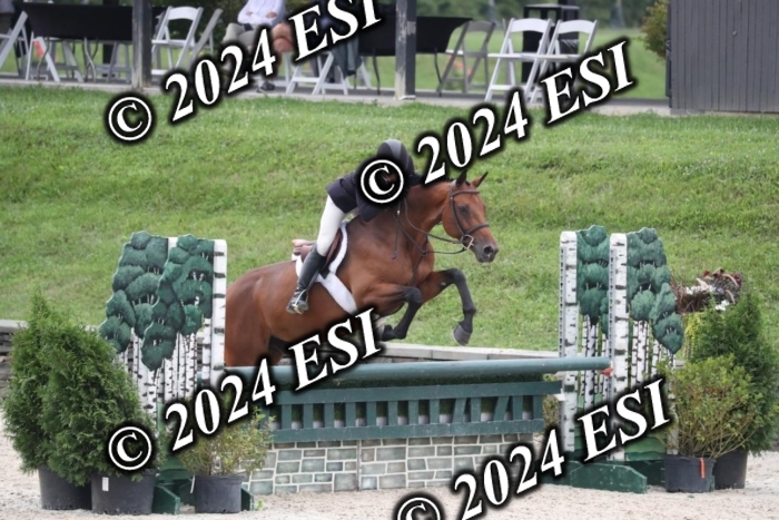 097RWCL7924