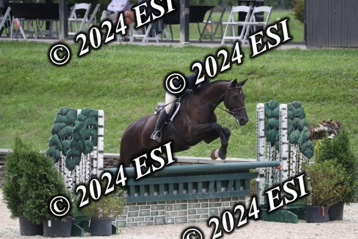 097RWCL7929