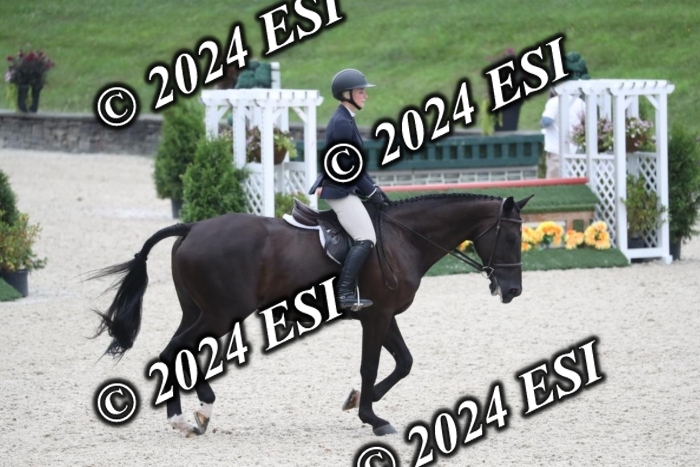 097RWCL7931