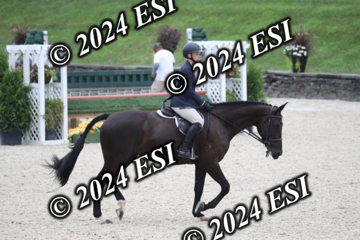 097RWCL7932
