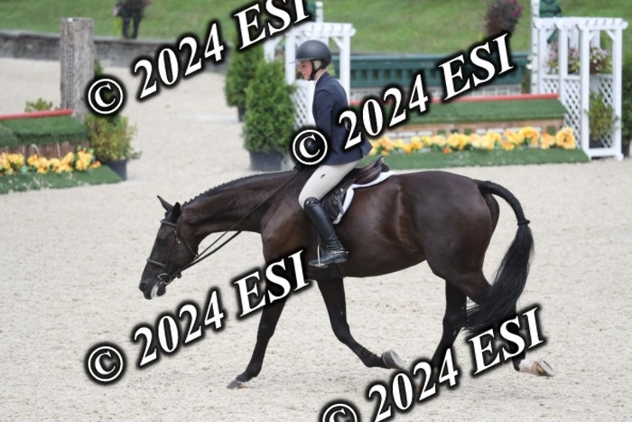 097RWCL7939