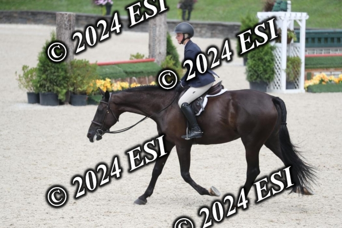 097RWCL7940