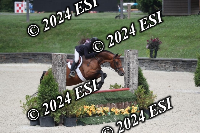 097RWCL7942