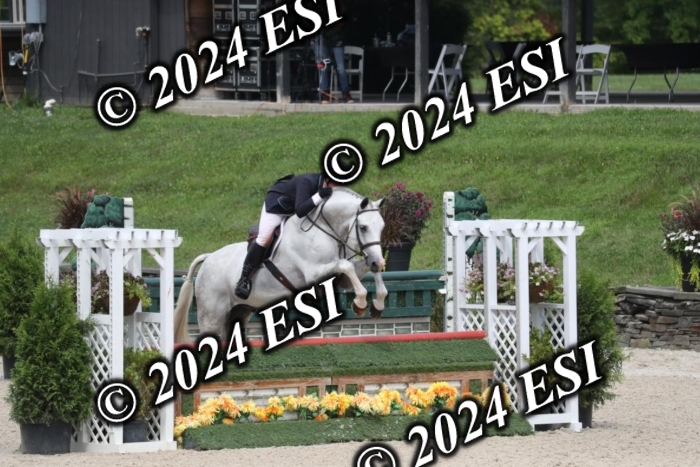 097RWCL7946