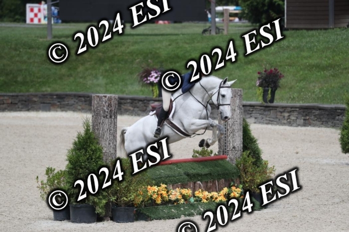 097RWCL7949