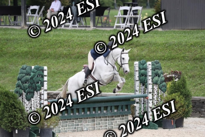 097RWCL7950