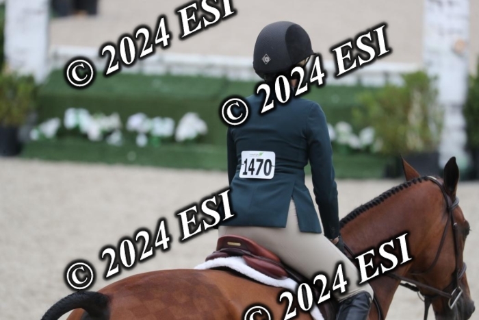 097RWCL7951