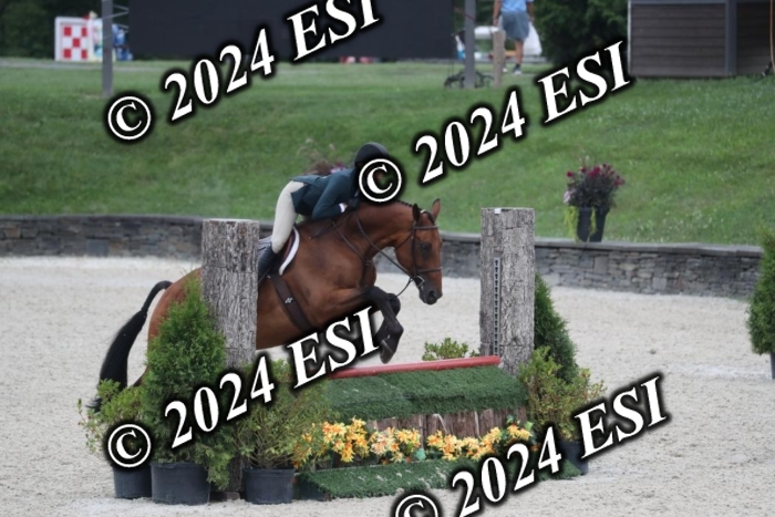 097RWCL7953