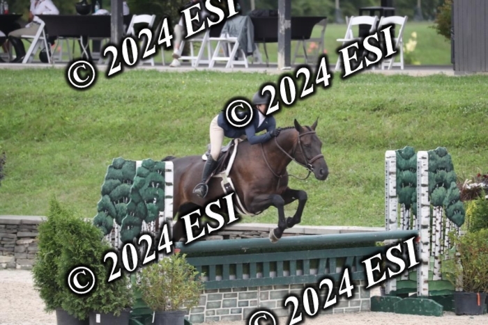 097RWCL7959