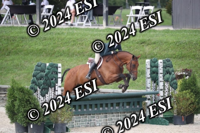 097RWCL7971