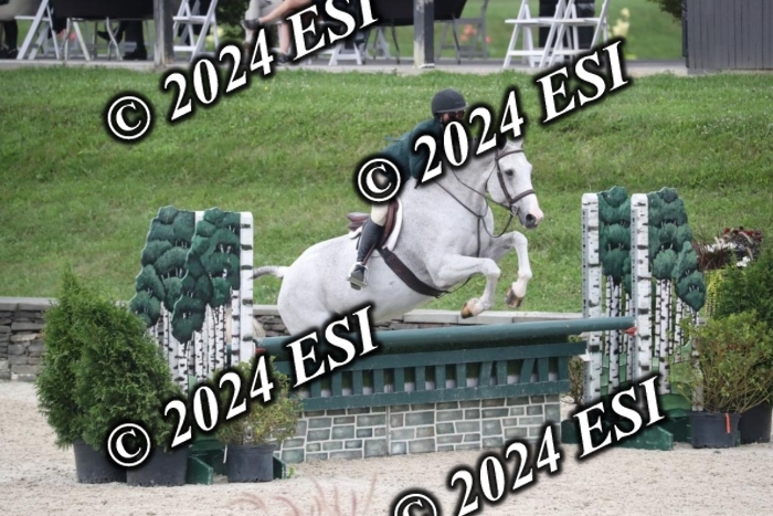 097RWCL7976